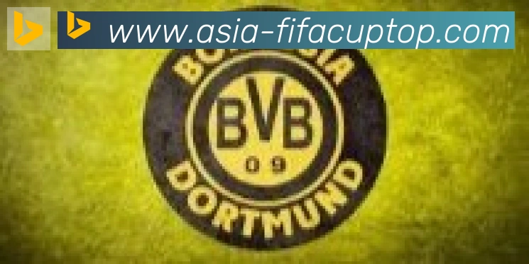 FIFA世界杯买球入口合作伙伴