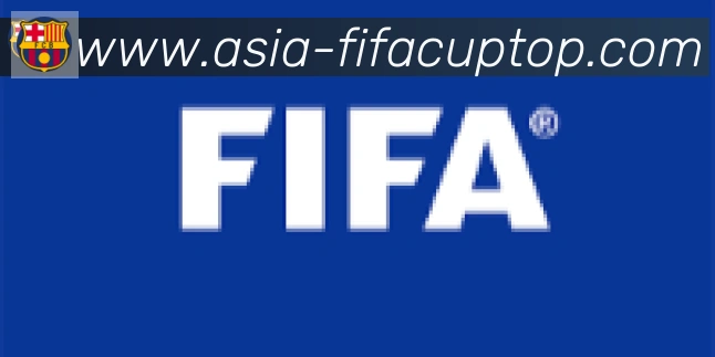 FIFA世界杯买球入口合作伙伴